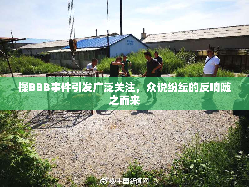 搡BBB事件引发广泛关注，众说纷纭的反响随之而来