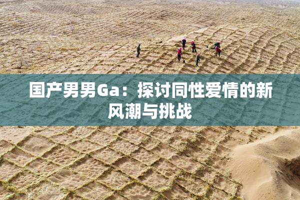 国产男男Ga：探讨同性爱情的新风潮与挑战