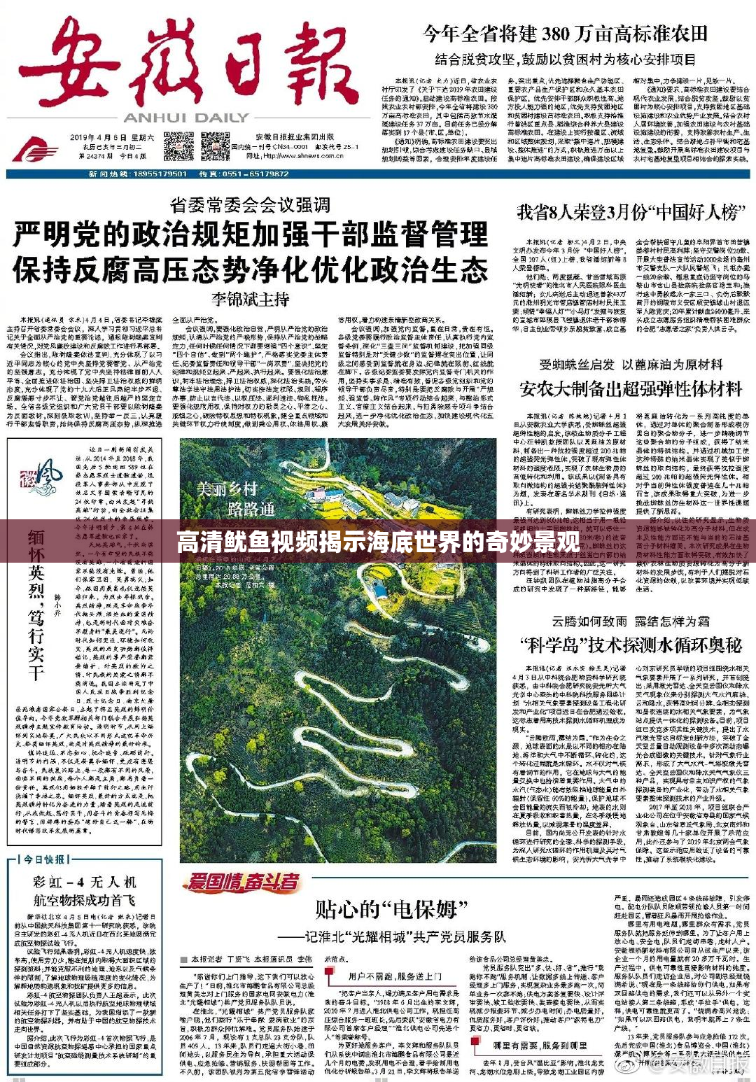 高清鱿鱼视频揭示海底世界的奇妙景观