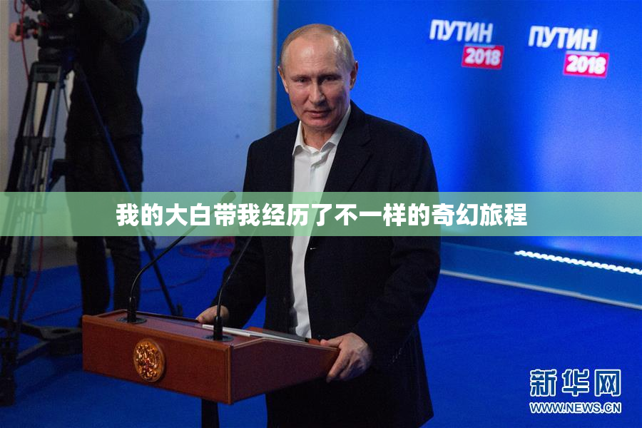 我的大白带我经历了不一样的奇幻旅程
