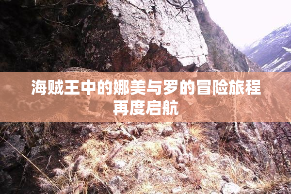 海贼王中的娜美与罗的冒险旅程再度启航