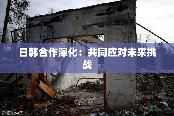 日韩合作深化：共同应对未来挑战