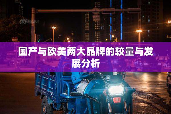 国产与欧美两大品牌的较量与发展分析