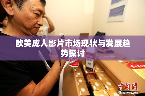 欧美成人影片市场现状与发展趋势探讨