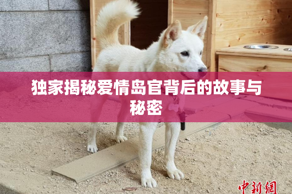 独家揭秘爱情岛官背后的故事与秘密