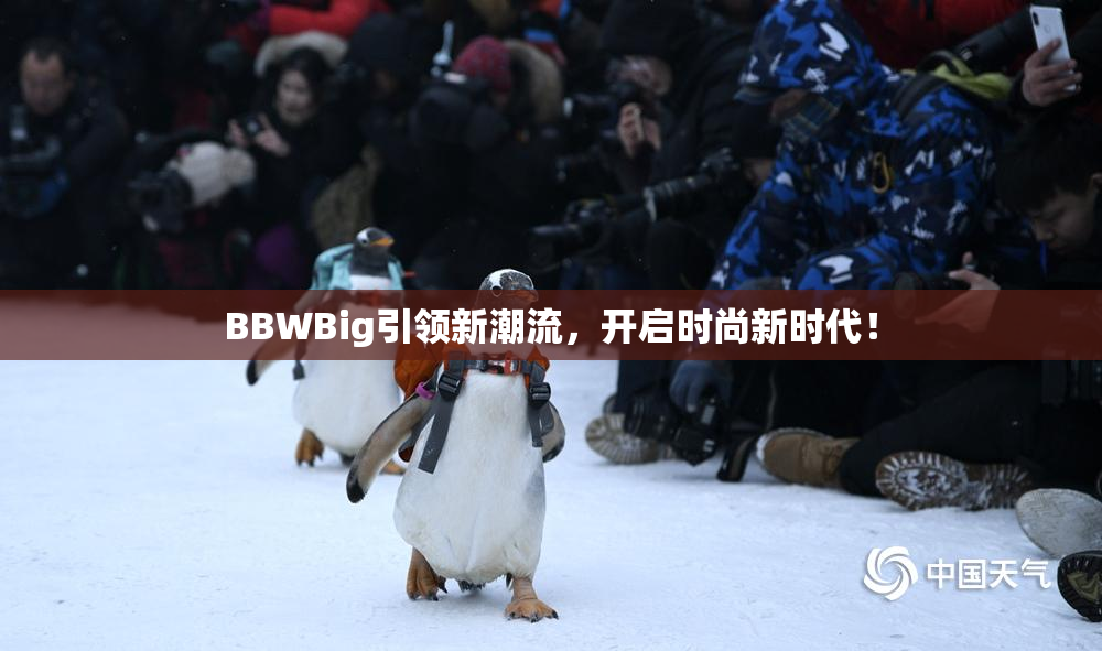 BBWBig引领新潮流，开启时尚新时代！