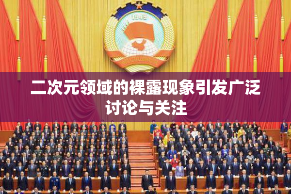 二次元领域的裸露现象引发广泛讨论与关注