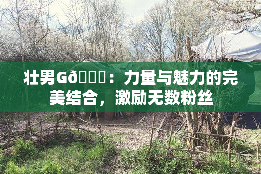 壮男G🈚：力量与魅力的完美结合，激励无数粉丝