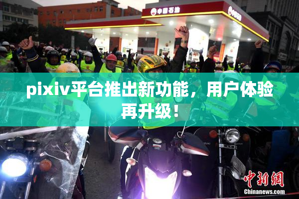 pixiv平台推出新功能，用户体验再升级！