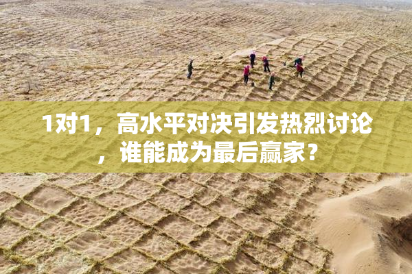 1对1，高水平对决引发热烈讨论，谁能成为最后赢家？