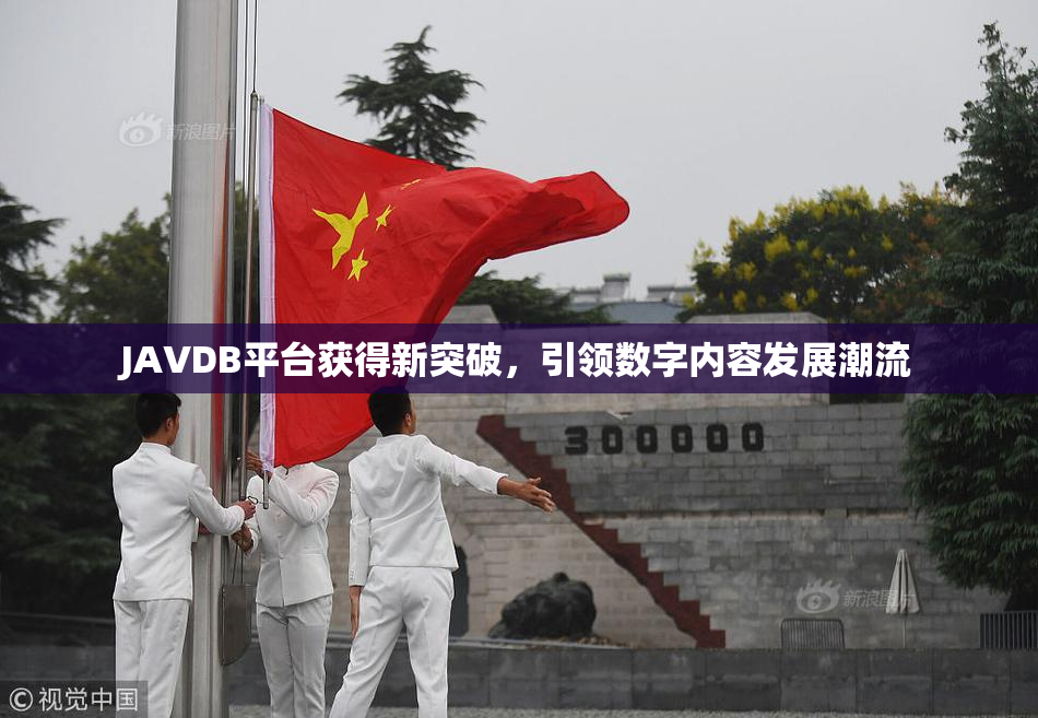 JAVDB平台获得新突破，引领数字内容发展潮流