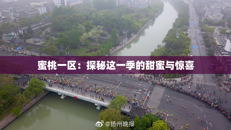 蜜桃一区：探秘这一季的甜蜜与惊喜