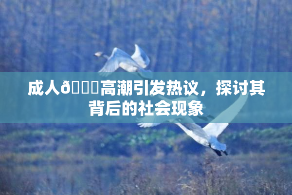 成人🔞高潮引发热议，探讨其背后的社会现象