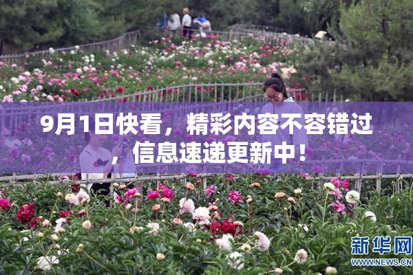 9月1日快看，精彩内容不容错过，信息速递更新中！