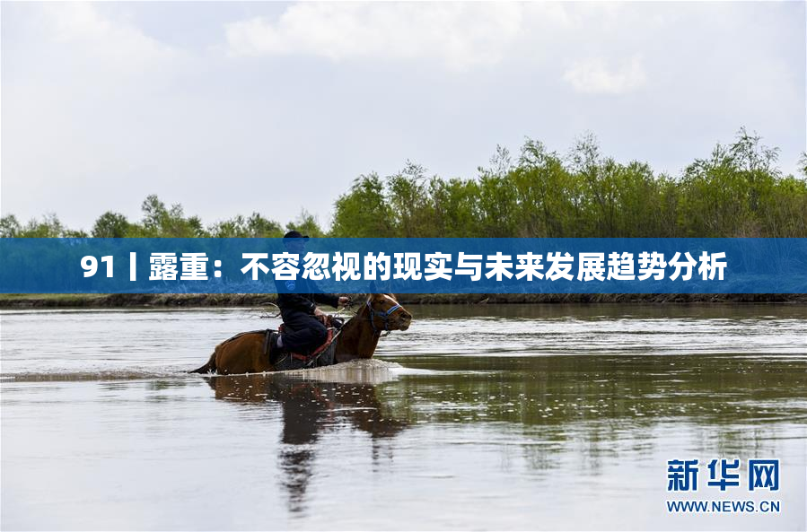 91丨露重：不容忽视的现实与未来发展趋势分析