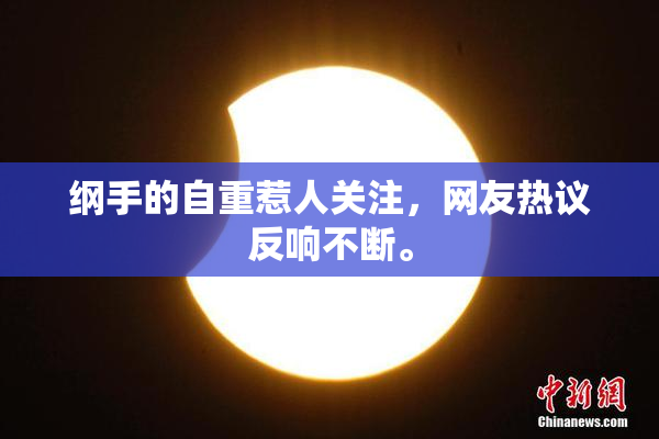 纲手的自重惹人关注，网友热议反响不断。