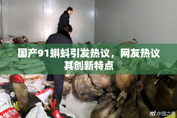 国产91蝌蚪引发热议，网友热议其创新特点
