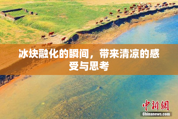 冰块融化的瞬间，带来清凉的感受与思考