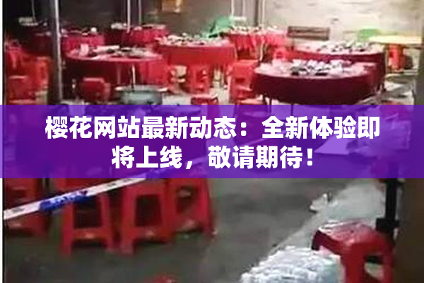 樱花网站最新动态：全新体验即将上线，敬请期待！