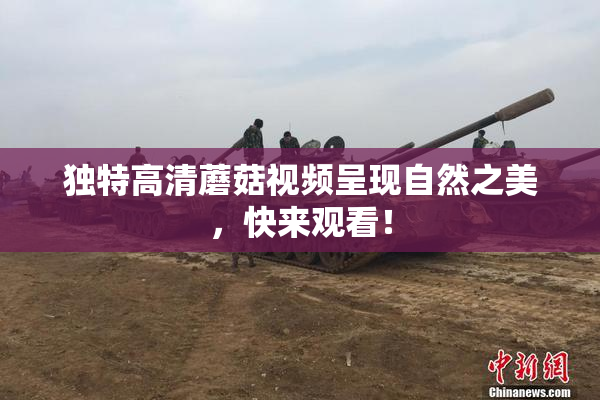 独特高清蘑菇视频呈现自然之美，快来观看！