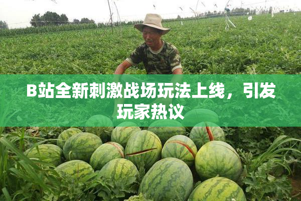 B站全新刺激战场玩法上线，引发玩家热议