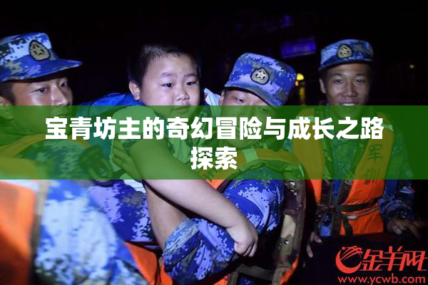 宝青坊主的奇幻冒险与成长之路探索