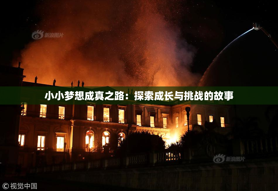 小小梦想成真之路：探索成长与挑战的故事