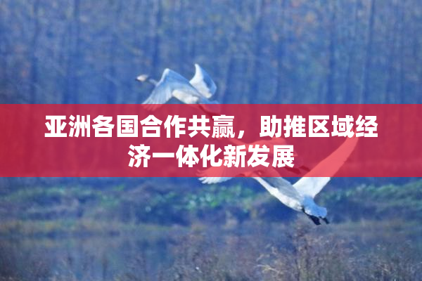 亚洲各国合作共赢，助推区域经济一体化新发展