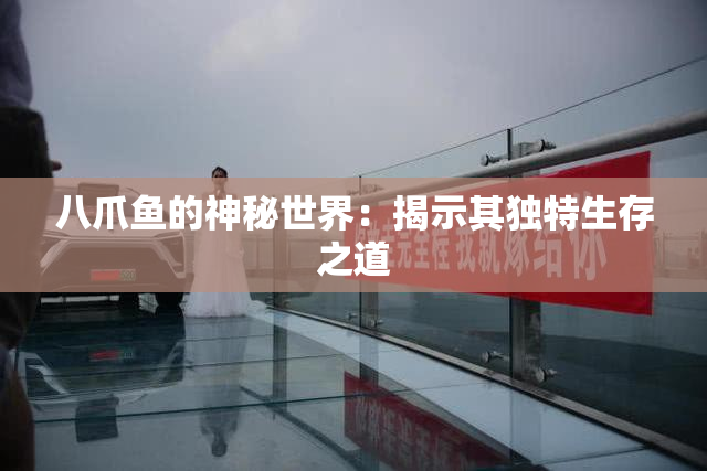 八爪鱼的神秘世界：揭示其独特生存之道