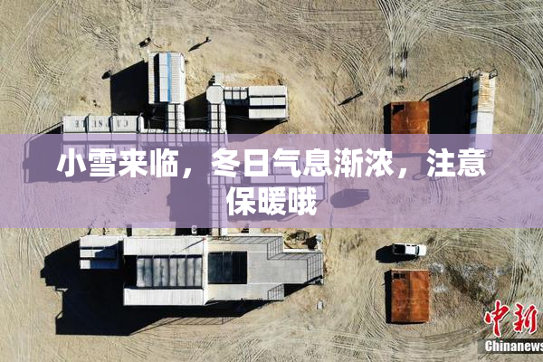 小雪来临，冬日气息渐浓，注意保暖哦