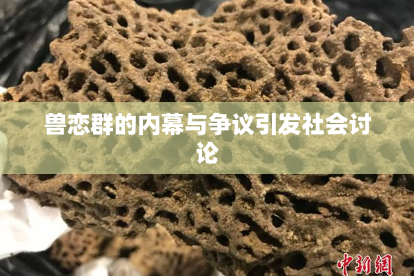 兽恋群的内幕与争议引发社会讨论