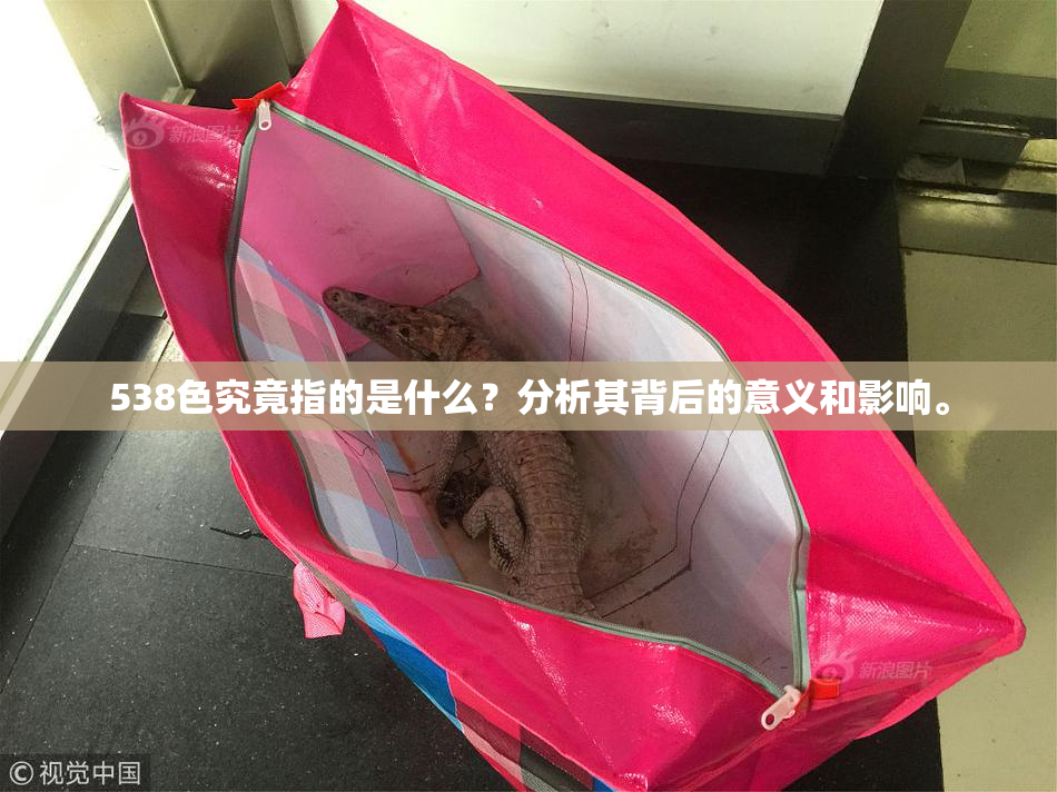 538色究竟指的是什么？分析其背后的意义和影响。