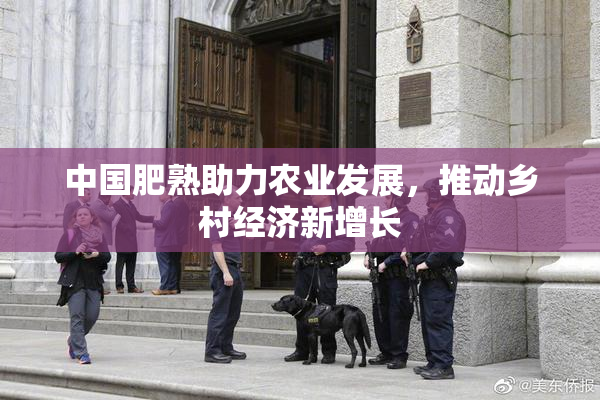 中国肥熟助力农业发展，推动乡村经济新增长
