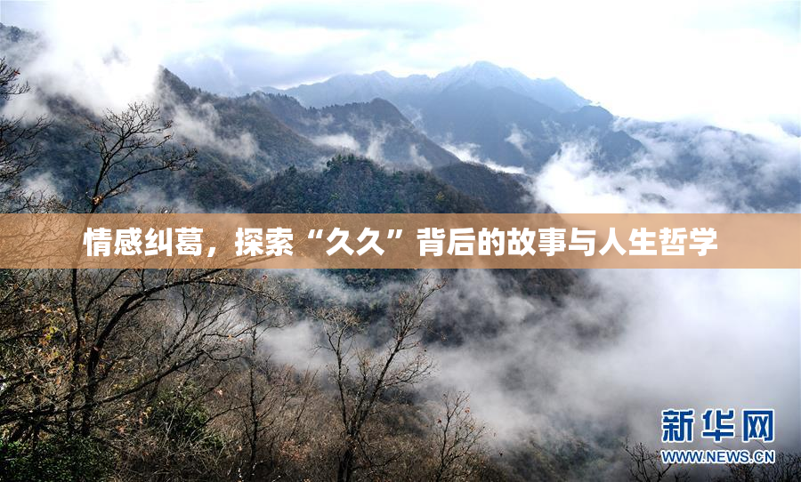 情感纠葛，探索“久久”背后的故事与人生哲学