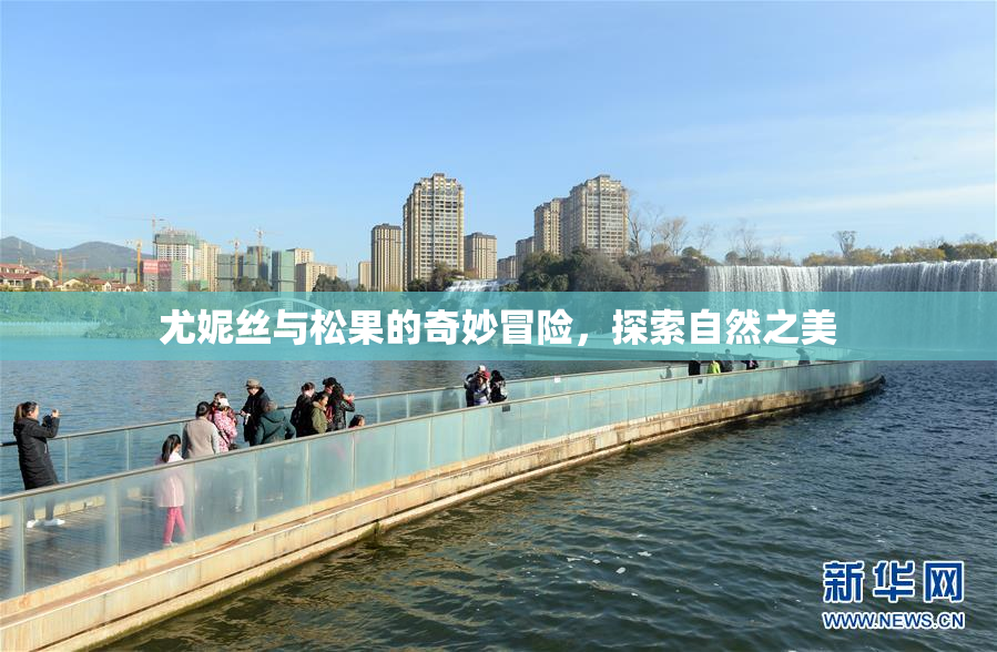 尤妮丝与松果的奇妙冒险，探索自然之美