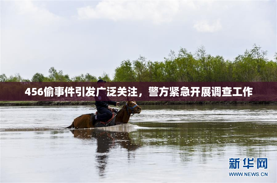 456偷事件引发广泛关注，警方紧急开展调查工作