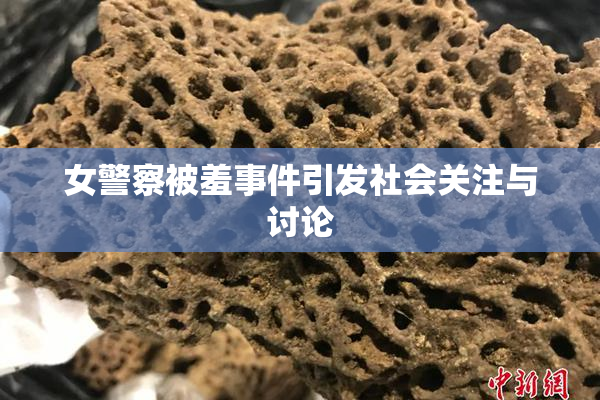 女警察被羞事件引发社会关注与讨论