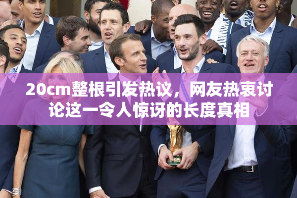 20cm整根引发热议，网友热衷讨论这一令人惊讶的长度真相
