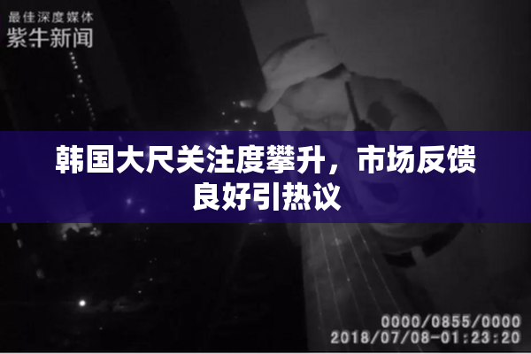 韩国大尺关注度攀升，市场反馈良好引热议