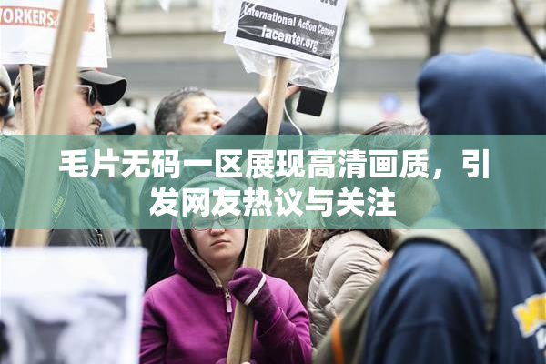 毛片无码一区展现高清画质，引发网友热议与关注