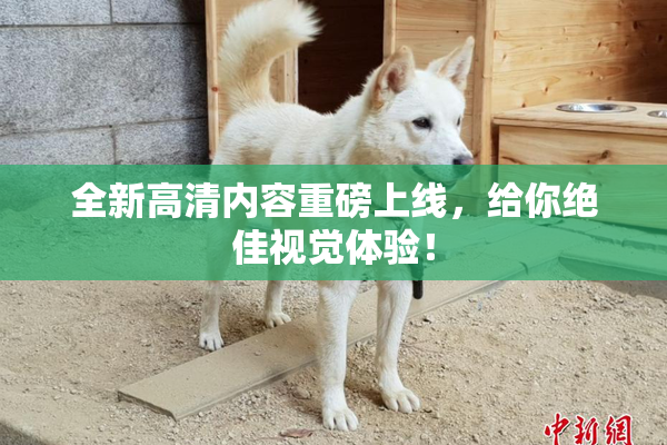 全新高清内容重磅上线，给你绝佳视觉体验！