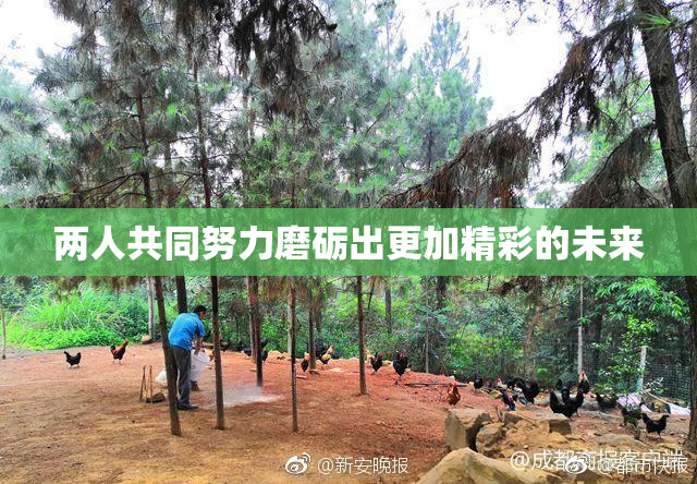 两人共同努力磨砺出更加精彩的未来