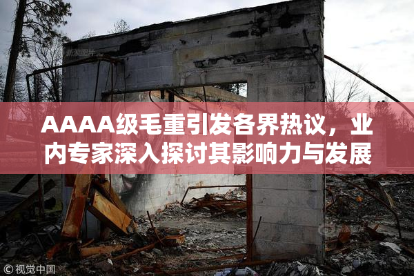 AAAA级毛重引发各界热议，业内专家深入探讨其影响力与发展前景