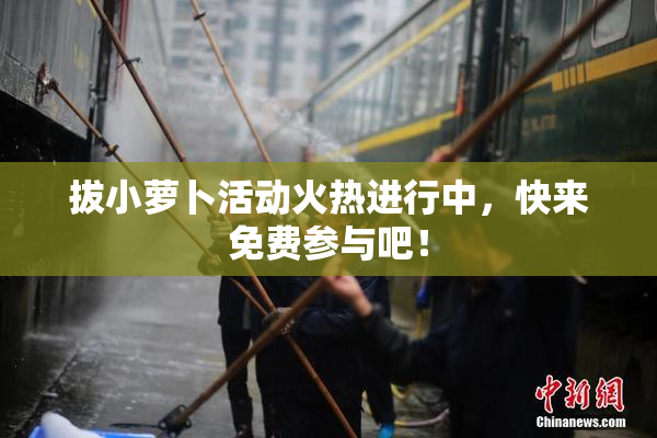 拔小萝卜活动火热进行中，快来免费参与吧！