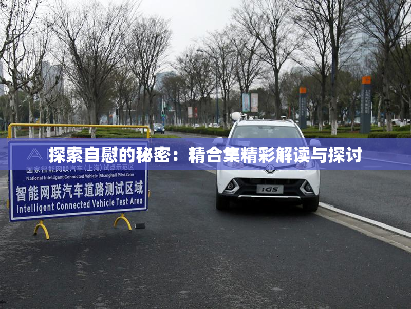 探索自慰的秘密：精合集精彩解读与探讨