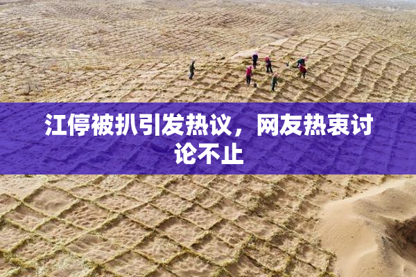 江停被扒引发热议，网友热衷讨论不止