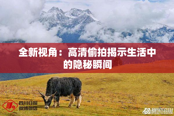 全新视角：高清偷拍揭示生活中的隐秘瞬间