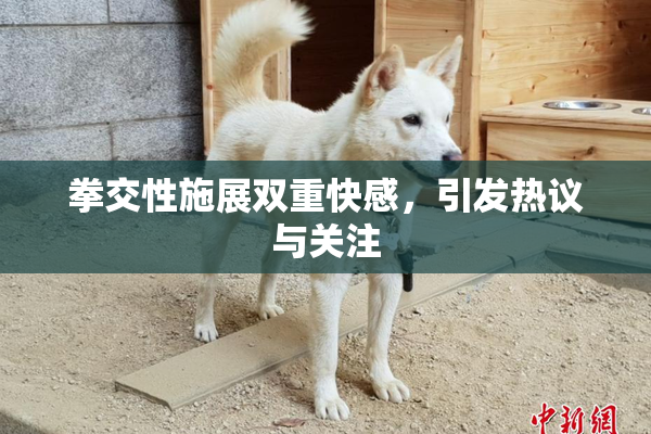 拳交性施展双重快感，引发热议与关注