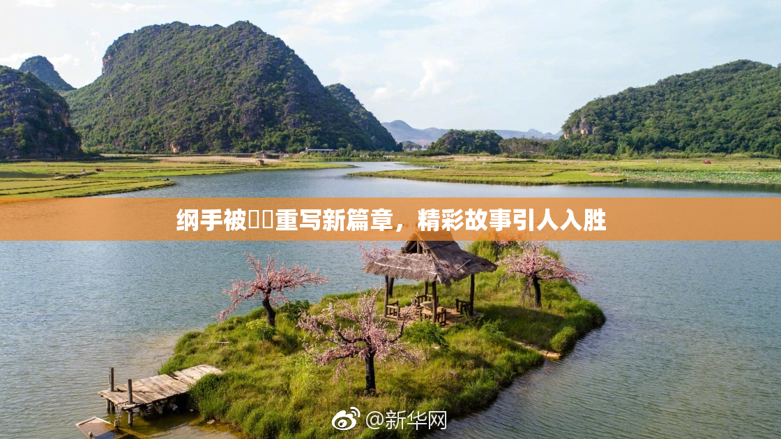 纲手被❌‌重写新篇章，精彩故事引人入胜
