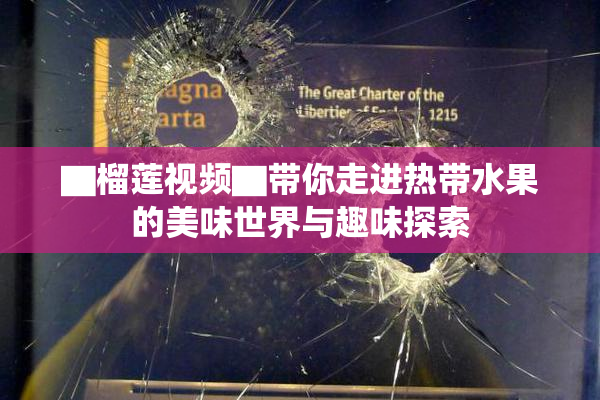 ▇榴莲视频▇带你走进热带水果的美味世界与趣味探索